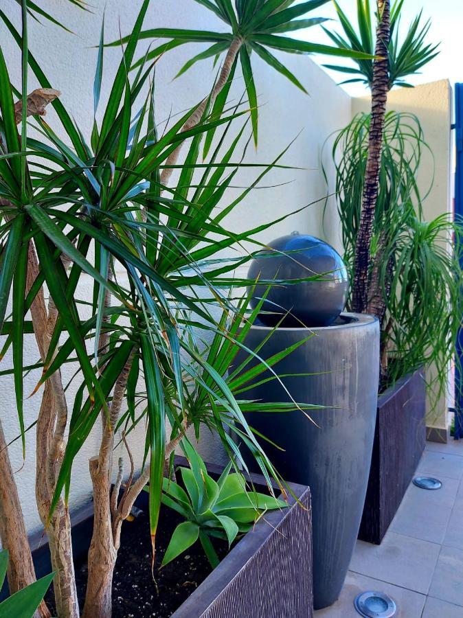 Duplex With Sea Views, Garden And Terrace Apartment Santa Cruz de Tenerife Luaran gambar